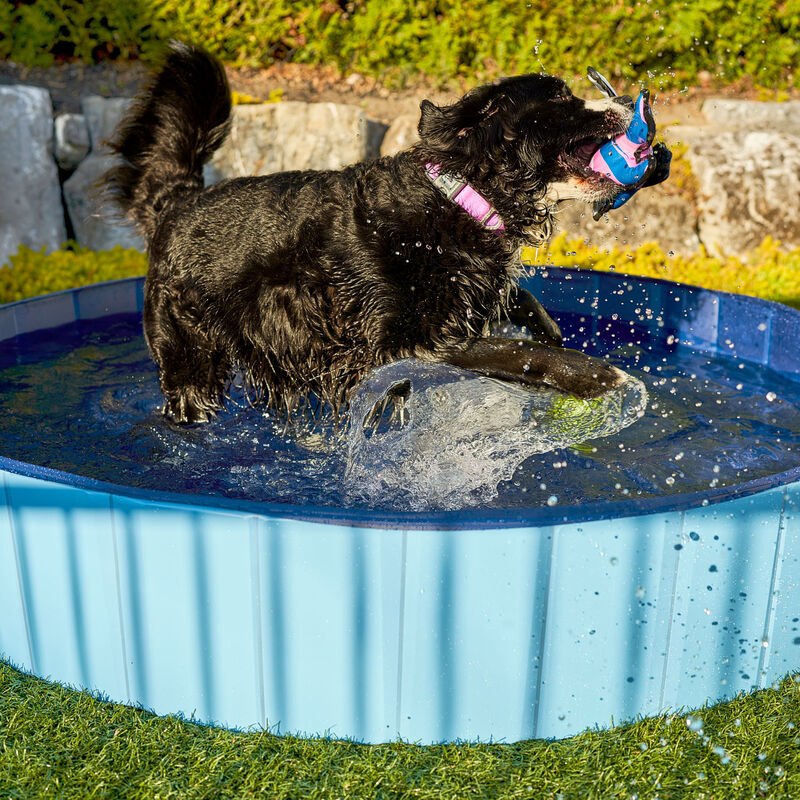 Pawtek Foldable and Portable Pet Pool - Blue - XL image number null