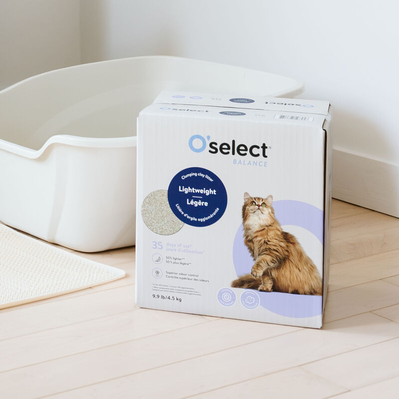 Lightweight Clumping Clay Litter - 4.5 kg image number null