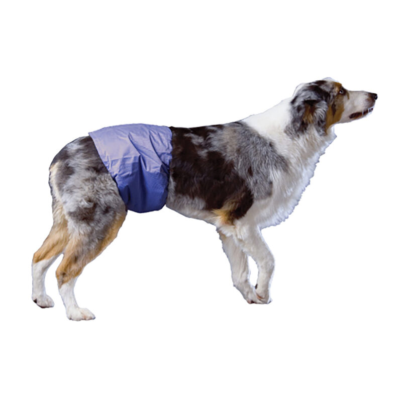 Pooch Pad, PoochPants - Male Wrap - Small - 12 - 15" image number null