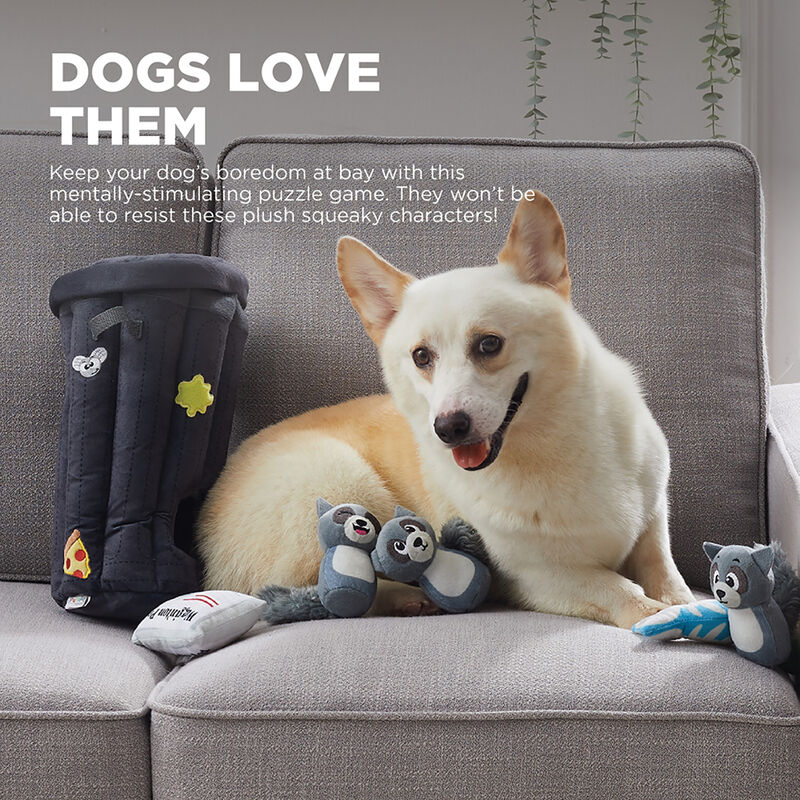 Outward Hound, Hide A Raccoon - Grey image number null
