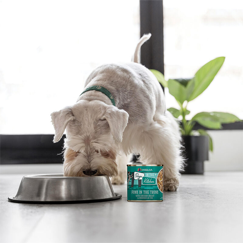 Weruva, Can, Adult - Funk in the Trunk - 285 g - Minced - Wet Dog Food image number null