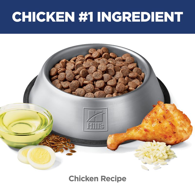 Science Diet, Adult Sensitive Stomach & Skin Chicken Recipe - Dry Dog Food image number null