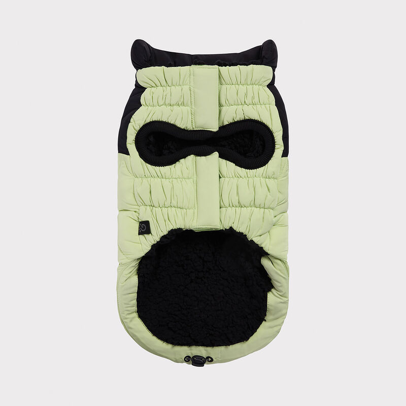 GF Pet, Diamond Puffer - Green image number null