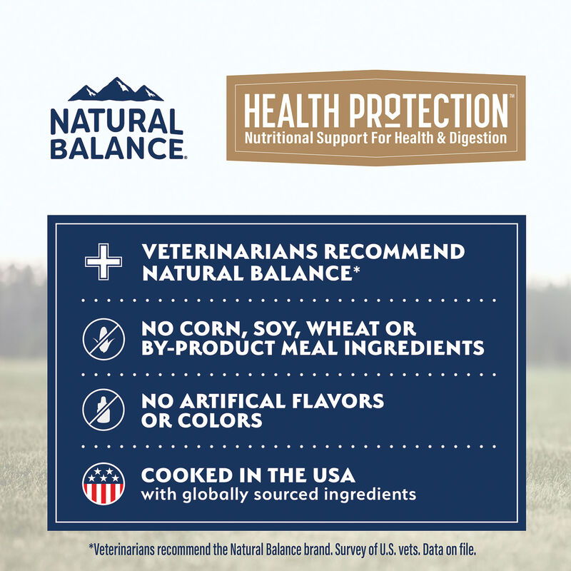 Natural Balance, Health Protection - Salmon & Pumpkin Stew - Wet Dog Food image number null