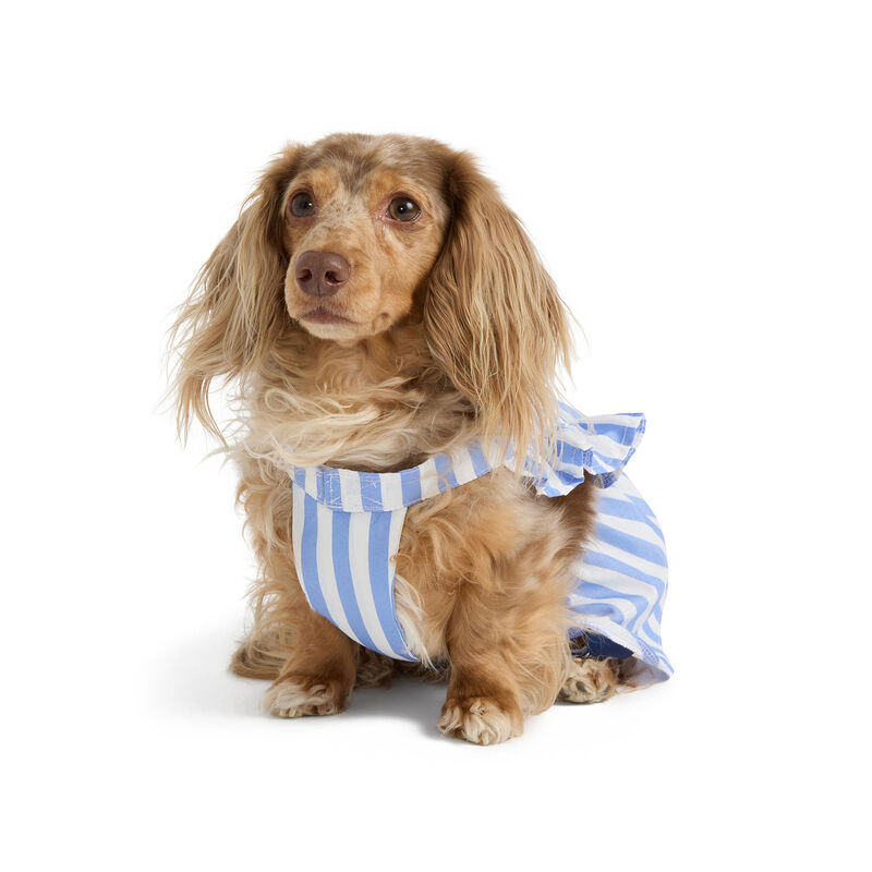 Nautica Striped Dress image number null