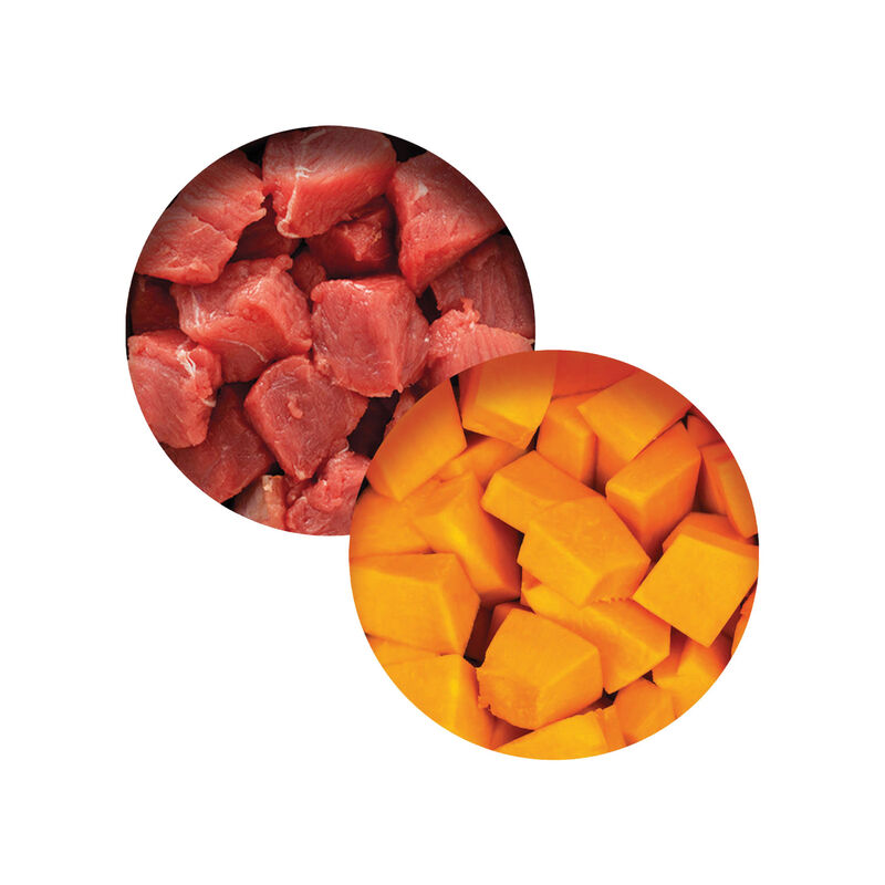 Catit, Grain Free - Chicken Dinner with Layer of Beef & Pumpkin in Gravy - Wet Cat Food image number null