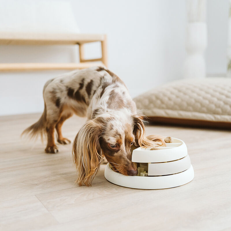BeOneBreed, 3 Stage Slow Feeder - Cream image number null