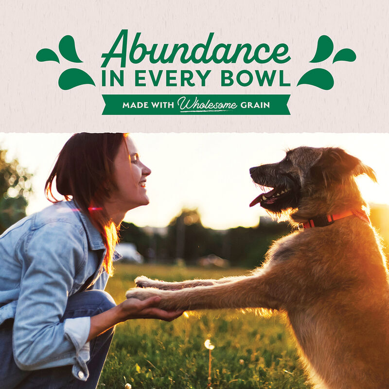 Natural Balance, Ultra Premium Canned Dog Formula, Lamb & Rice - 369 g - Wet Dog Food image number null