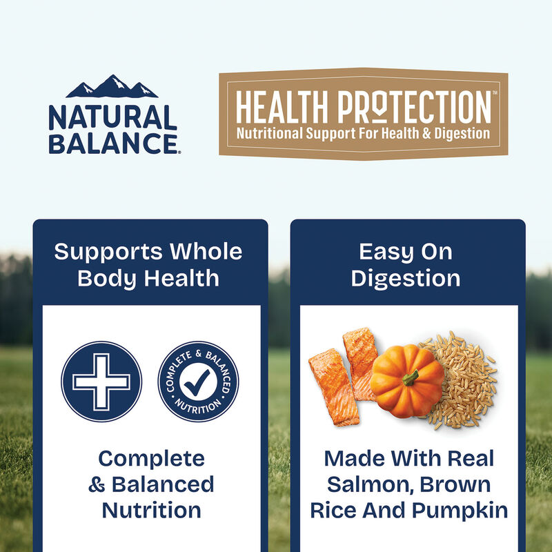 Natural Balance, Health Protection - Salmon & Pumpkin Stew - Wet Dog Food image number null