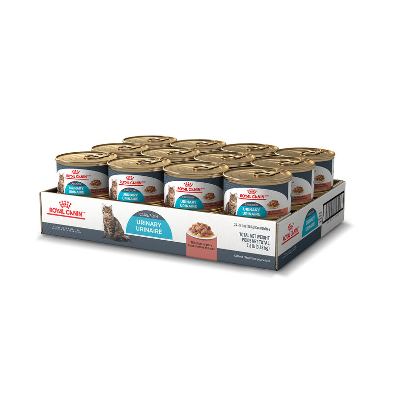 Royal Canin, Feline Care Nutrition - Urinary Care - Thin Slices in Gravy - 145 g - Wet Cat Food image number null