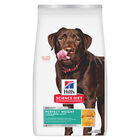 Science Diet, Adult Large Breed Perfect Weight Chicken Recipe - Dry Dog Food image number null