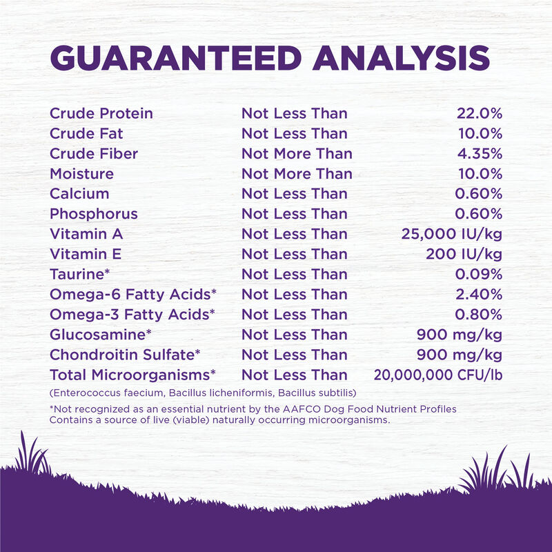 Wellness, Senior Complete Health - Debonded Chicken & Barley - 11.8 kg - Dry Dog Food image number null