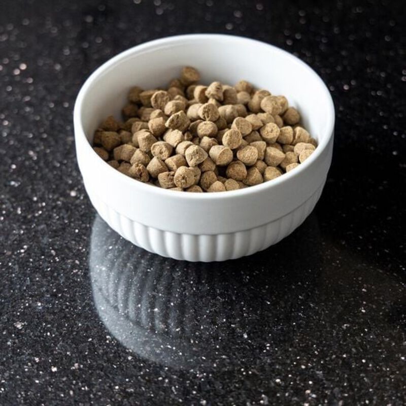 Gourmet Bowl - Large image number null