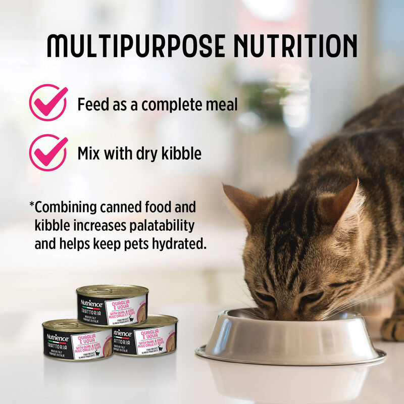 Nutrience, Feline - Trattoria with Quail & Eggs Mousse - Wet Cat Food image number null