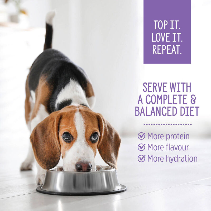 Nutrience, Homestyle Topper Chicken Quinoa Bowl &ndash; Dog Wet Food image number null