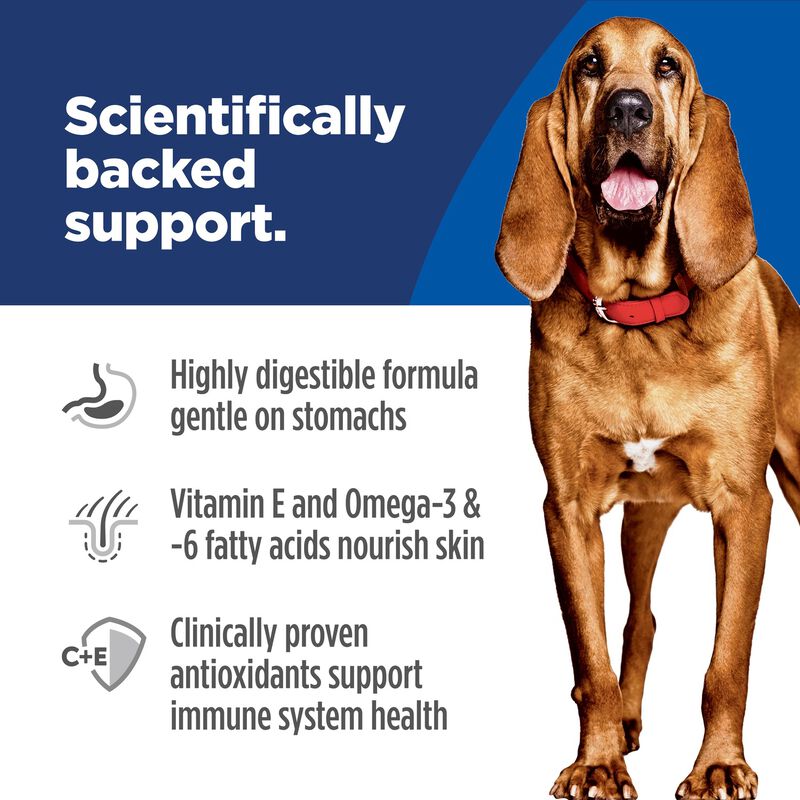 Science Diet, Adult Large Breed Sensitive Stomach & Skin Chicken Recipe - Dry Dog Food image number null