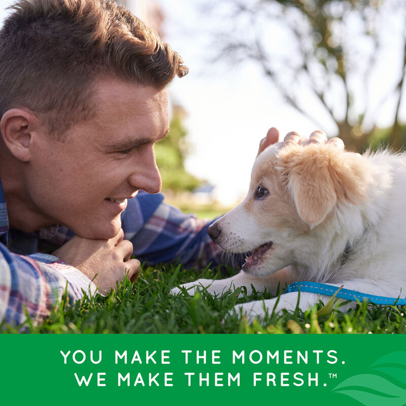 Tropiclean, Puppy, Dental Fresh Breath Oral Care Kit - 2 oz image number null