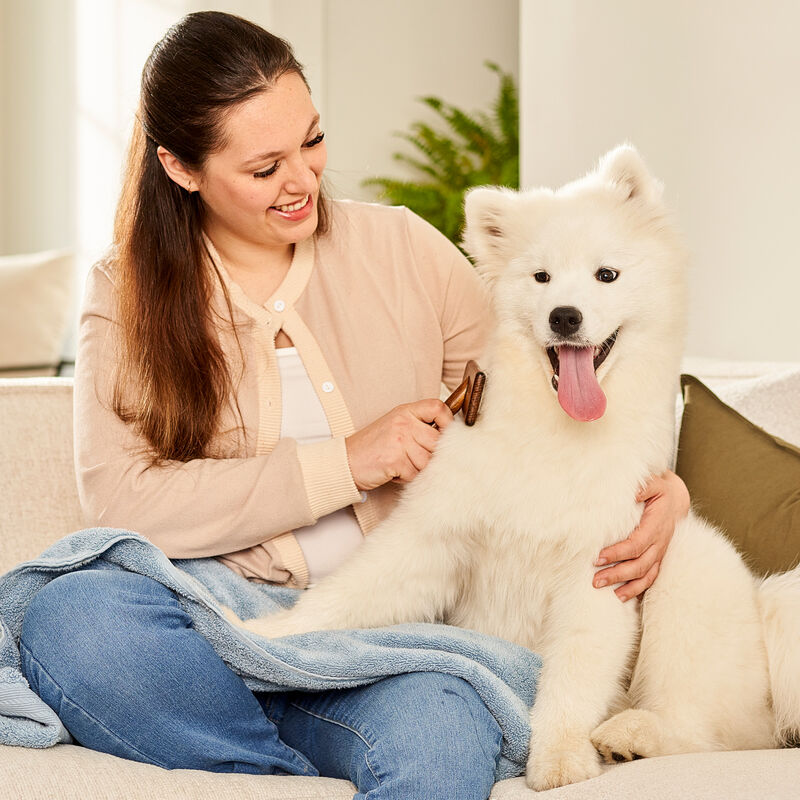 Tux, Studio Beaded Pin Brush &ndash; Dog Grooming Tool image number null