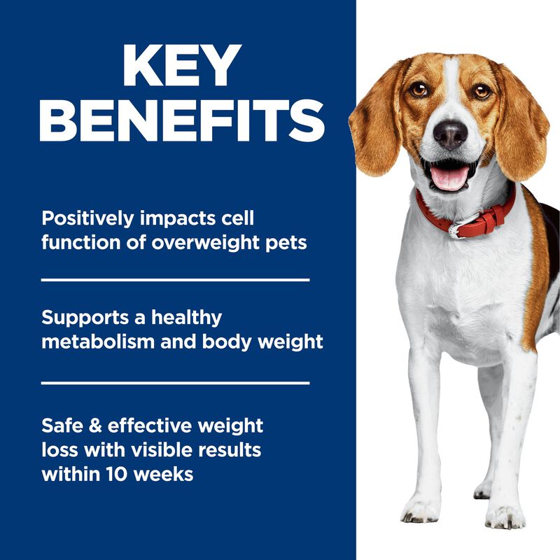 Science Diet, Adult Small Bites Perfect Weight Chicken Recipe - Dry Dog Food image number null