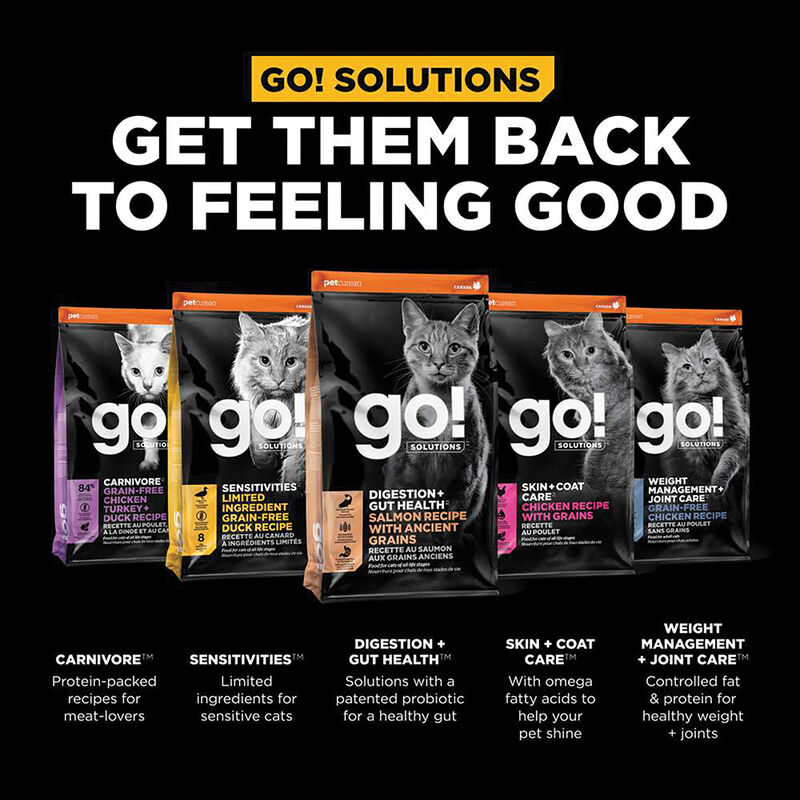 GO! SOLUTIONS, Feline Adult - Digestion & Gut Health - Salmon w/ Ancient Grains - Dry Cat Food image number null