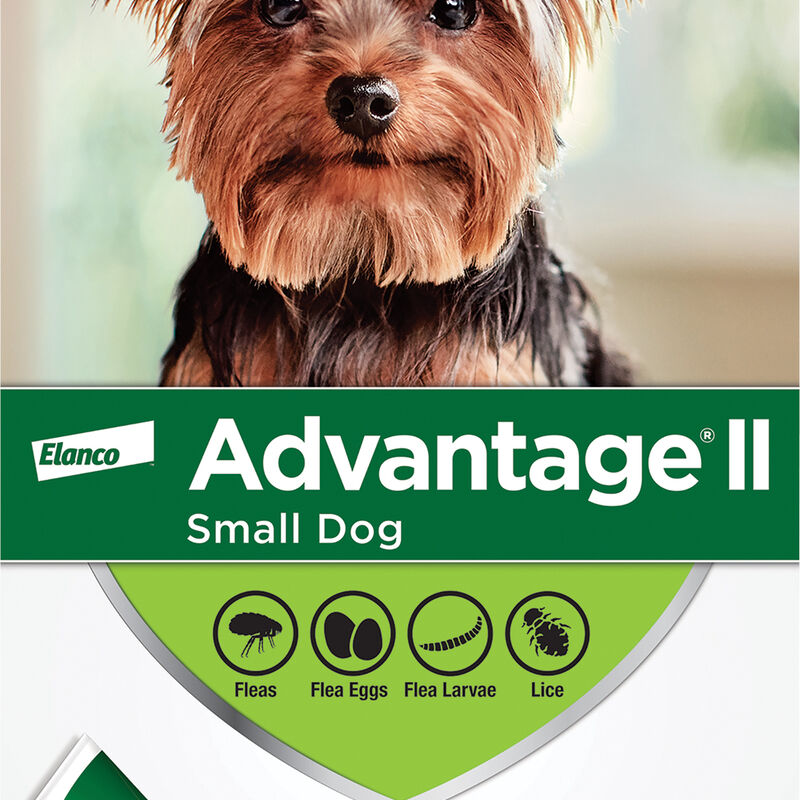 Advantage II, Small Dog Flea Treatment & Protection, <4.5kg image number null