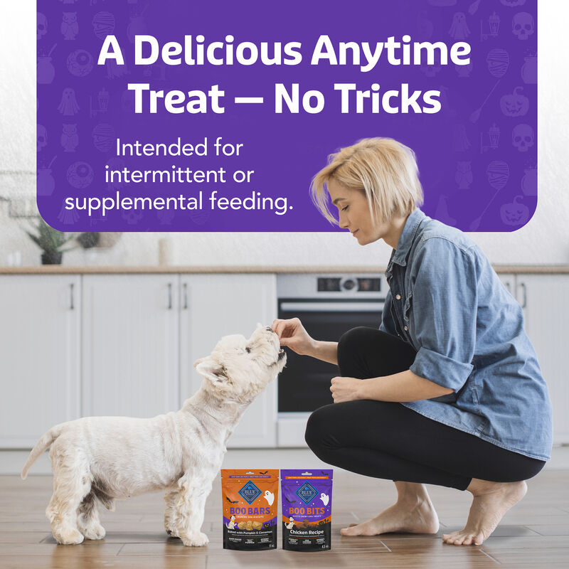 Blue Buffalo, Boo Bar - Pumpkin & Cinnamon - 312 g - Dog Treat image number null