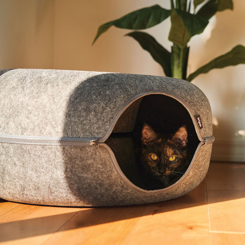 Brigade, Felt Donut Hideout - Dark Grey image number null