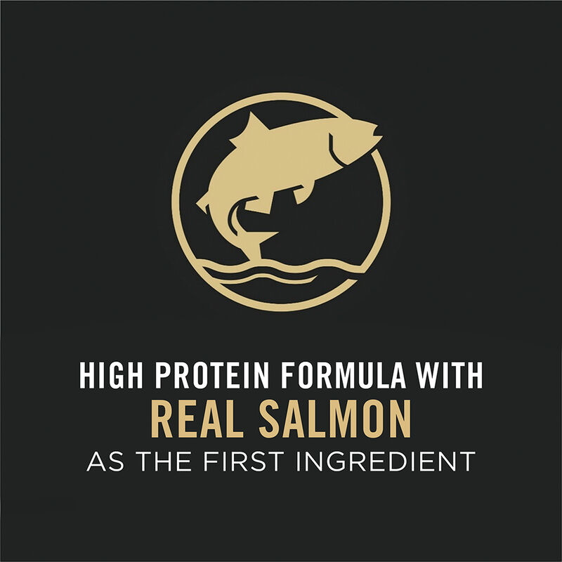 Pro Plan, Feline Adult - Live Clear - Salmon & Rice - Dry Cat Food image number null