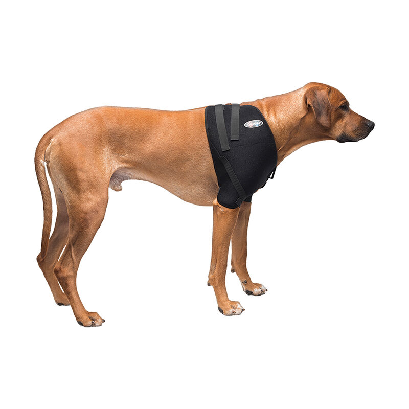 Caldera, Pet Therapy - Shoulder Wrap w/ Therapy Gel image number null