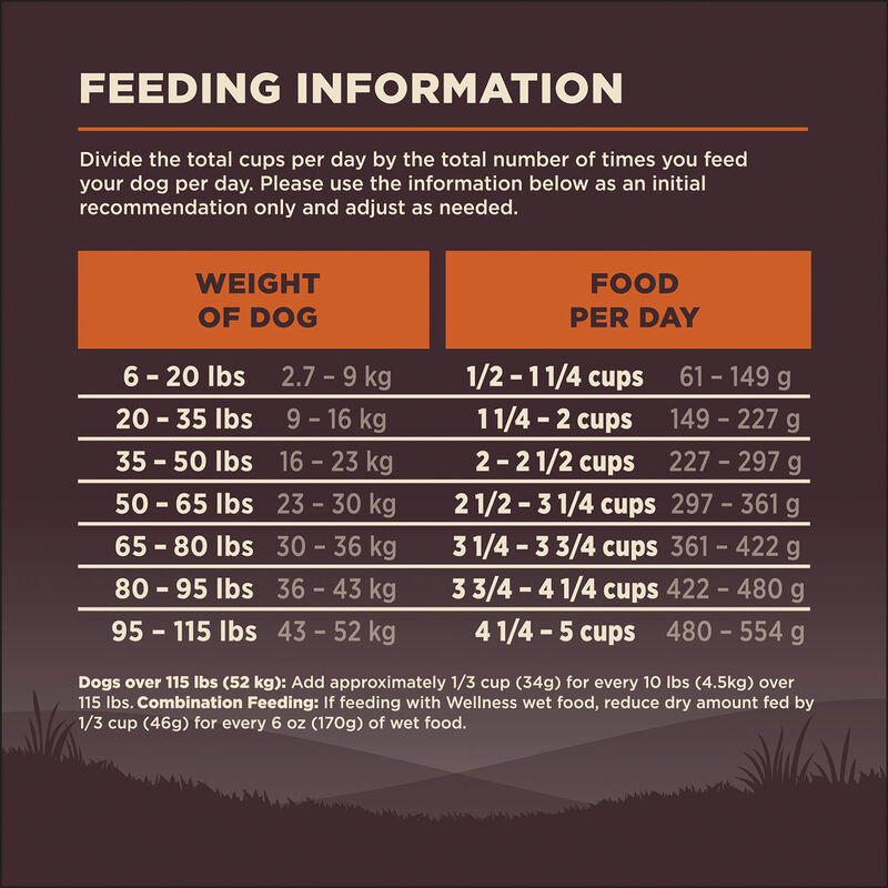 Wellness, Core, Grain Free Original - Dry Dog Food image number null