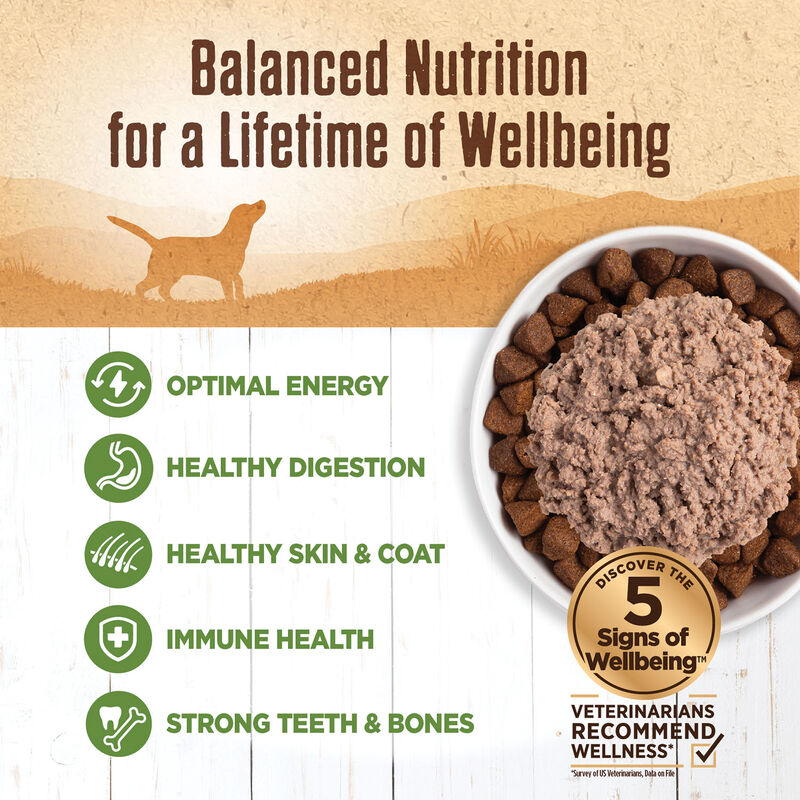 Wellness, Canned Dog Food, Mixers & Toppers, 95% Lamb - 13 oz - Wet Dog Food image number null