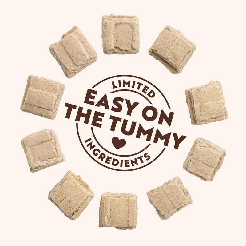 Northern Biscuit, Softies Peanut Butter & Bacon - 170 g - Dog Treat image number null