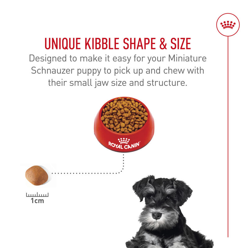 Royal Canin, Breed Health Nutrition Miniature Schnauzer Puppy 2.5LBS - Dry Dog Food image number null