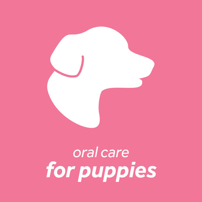 Tropiclean, Puppy, Dental Fresh Breath Oral Care Kit - 2 oz image number null