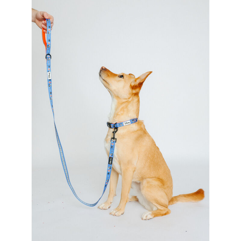 Sassy Woof, Mickey Cinema Collar and Leash Set for Dogs image number null