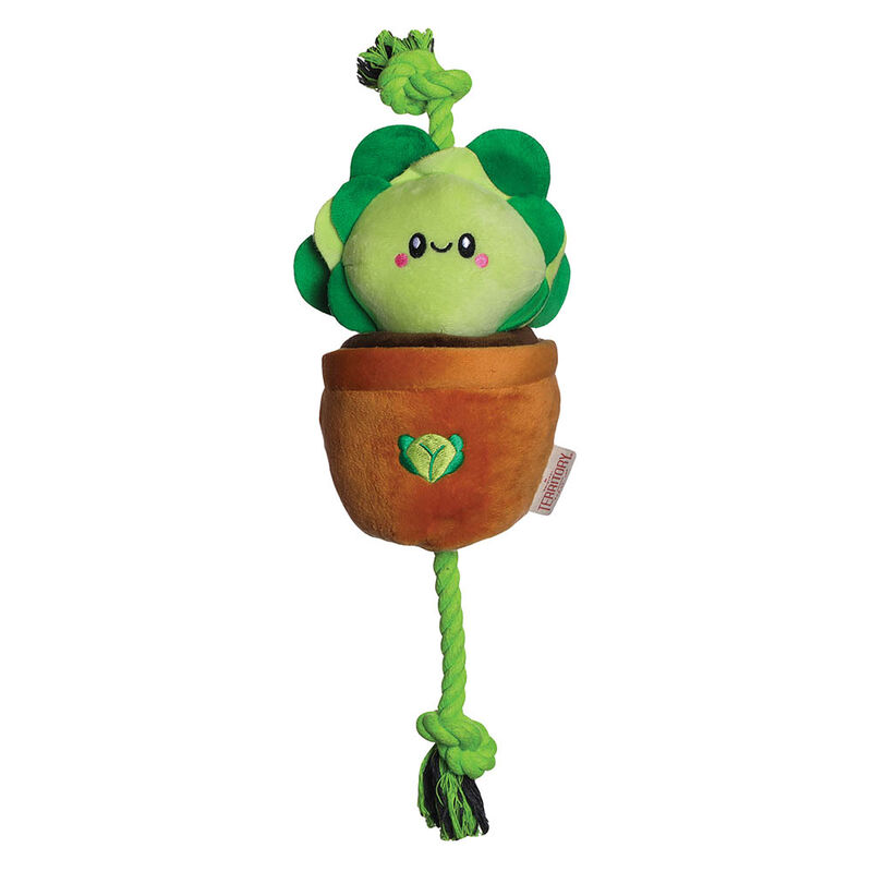 Territory, Lettuce Treat & Tug Toy image number null