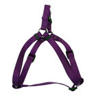 Adjustable Dog Harness, Purple, Small - 5/8" x 16-24 image number null