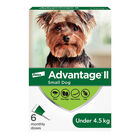 Advantage II, Small Dog Flea Treatment & Protection, <4.5kg image number null