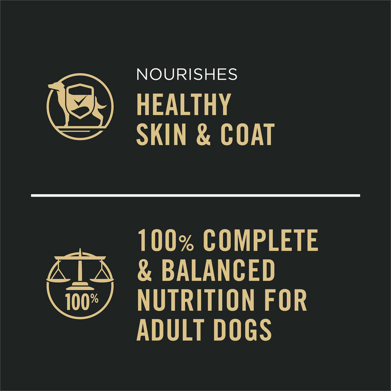 Pro Plan, Can, Adult-Complete Essentials-Beef & Rice - 368g - Wet Dog Food image number null
