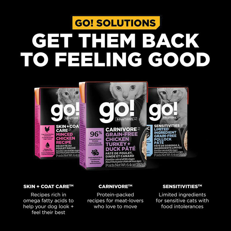 GO! SOLUTIONS, CARNIVORE Grain Free Chicken, Turkey + Duck P&acirc;t&eacute; for cats - Wet Cat Food image number null