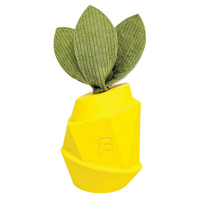 Bozzy, Pineapple Chew Toy