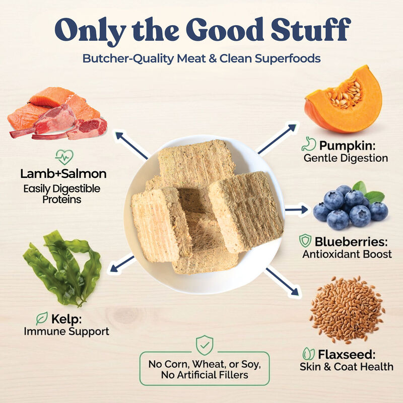Healthybud, Freeze-Dried Turkey Meal Patties 397g - Freeze Dried Dog Food image number null