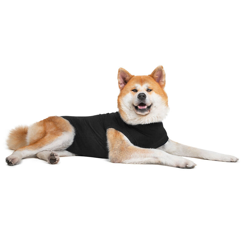 Suitical, Recovery Suit - Dog - Black image number null
