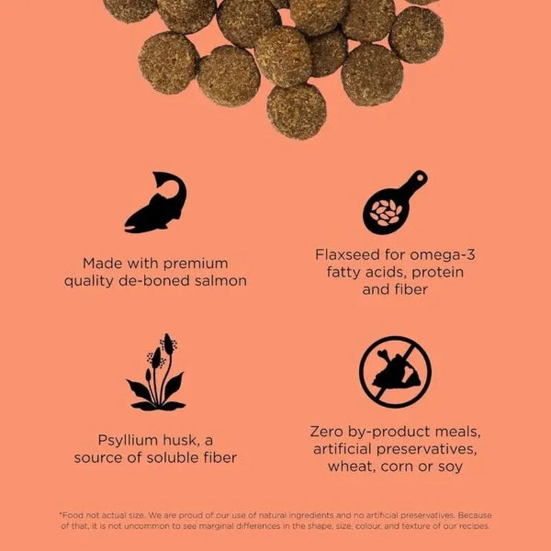 GO! SOLUTIONS, Adult - Weight Management & Joint Care - Salmon Recipe for Dogs image number null