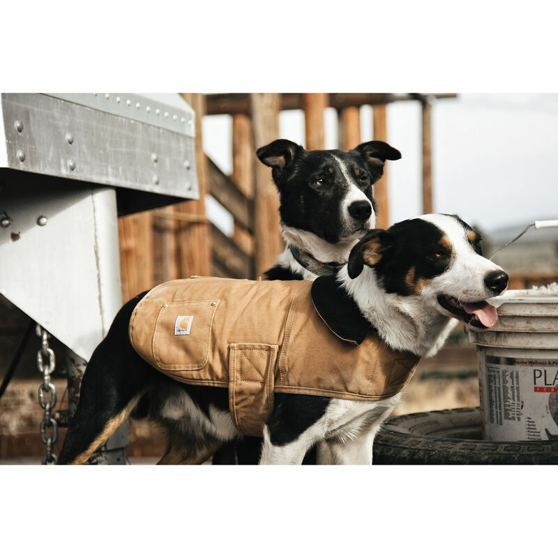Carhartt Firm Duck Insulated Dog Chore Coat - Light Brown image number null