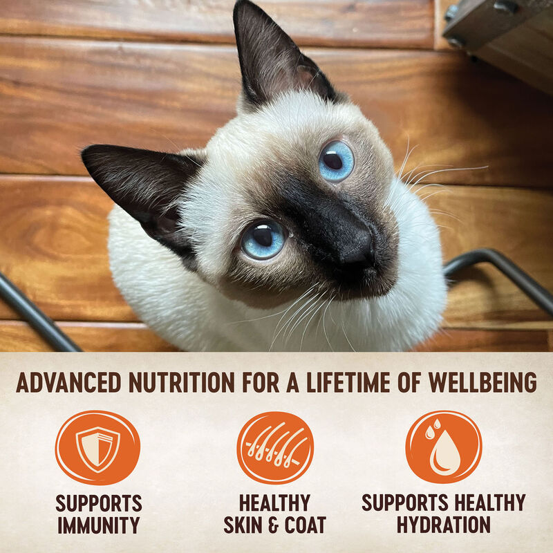 Wellness, Pouch, Feline Adult - Core Tiny Tasters - Chicken & Turkey - 50 g - Wet Cat Food image number null