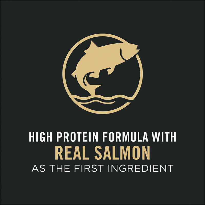Purina Pro Plan Complete Essentials Adult, Salmon & Rice Dry Cat Food 3.18kg image number null