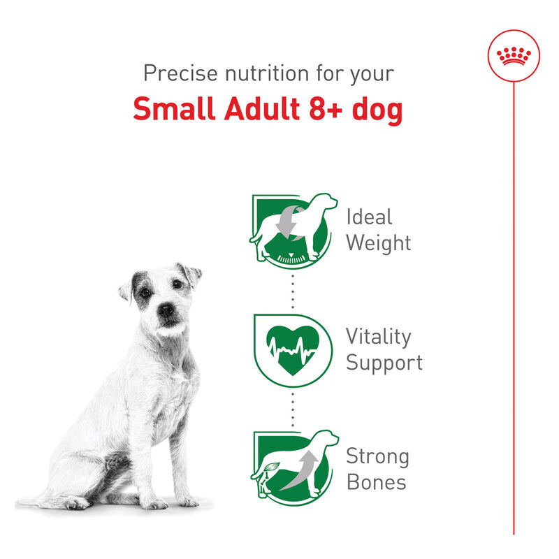 Royal Canin, Size Health Nutrition Small Mature 8+ - Dry Dog Food image number null