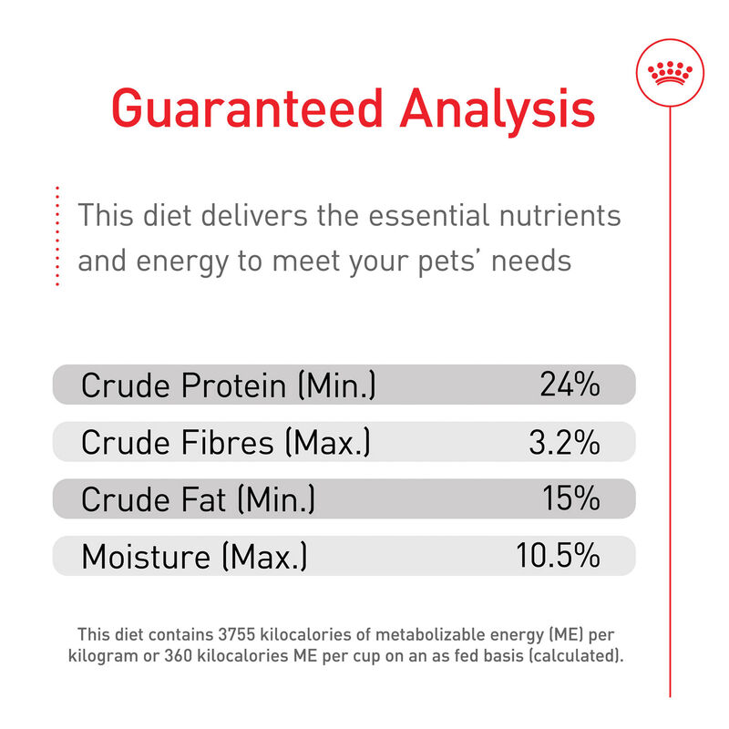 Royal Canin, Size Health Nutrition Large Adult Dog - Dry Dog Food image number null