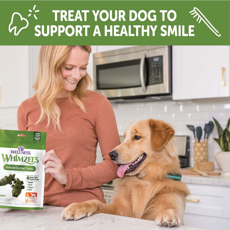 Whimzees, Dental Treat, Alligator Value Pouch - Large - 6 Pc image number null